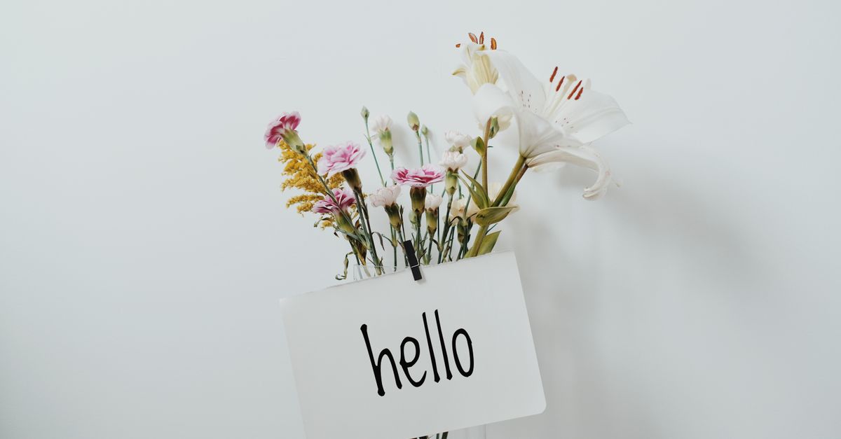 A colorful bouquet of wildflowers with a greeting card saying 'hello' on a simple background.